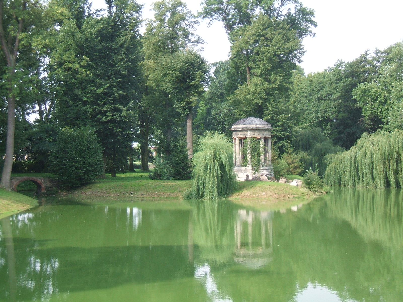 Dobrzyca